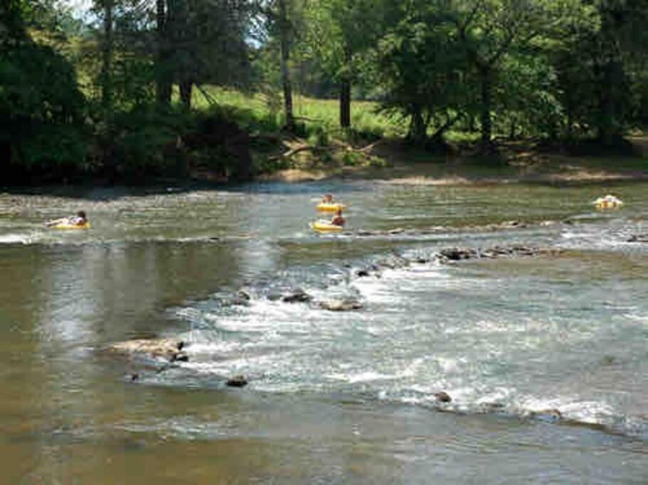 Riverside Relaxer W/Hot Tub+Fire Pit +Wifi & View Franklin Eksteriør bilde